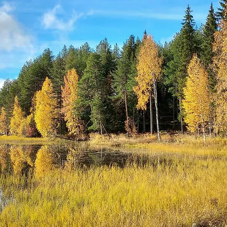 Sirius Sieri, Log-cottage By The Rovaniemi