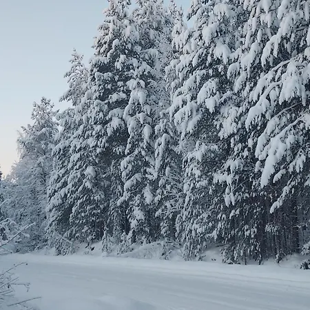 Vila Sirius Sieri, Log-cottage By The