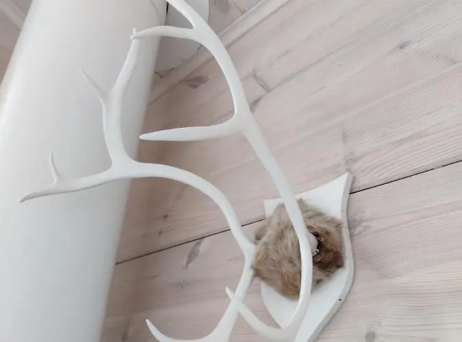 Willa Sirius Sieri, Log-cottage By The Rovaniemi