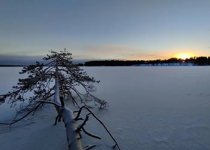 Sirius Sieri, Log-cottage By The