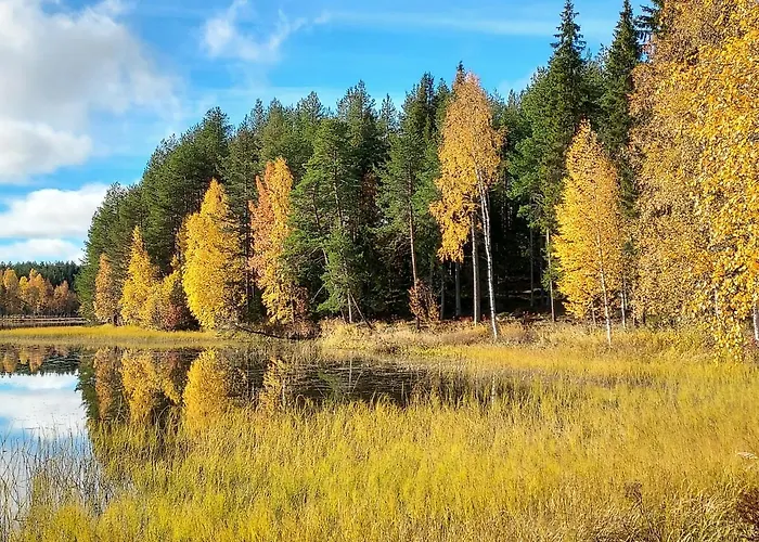 Sirius Sieri, Log-cottage By The Rovaniemi