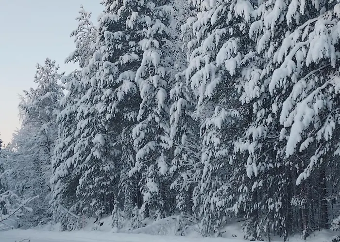 Willa Sirius Sieri, Log-cottage By The